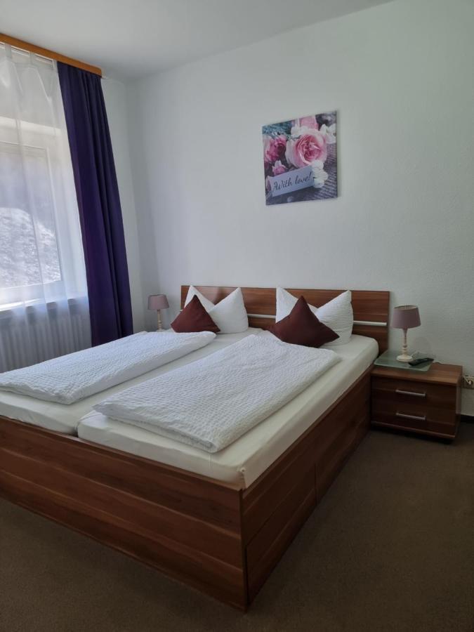 Berghotel-willingen Gasthof Willingen (Upland)