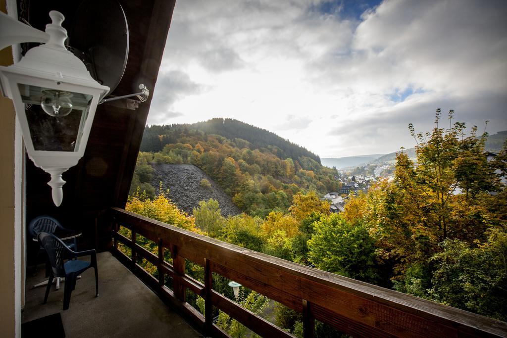 Berghotel-willingen Gasthof Willingen (Upland)